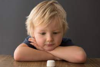 Criança encarando um marshmallow.