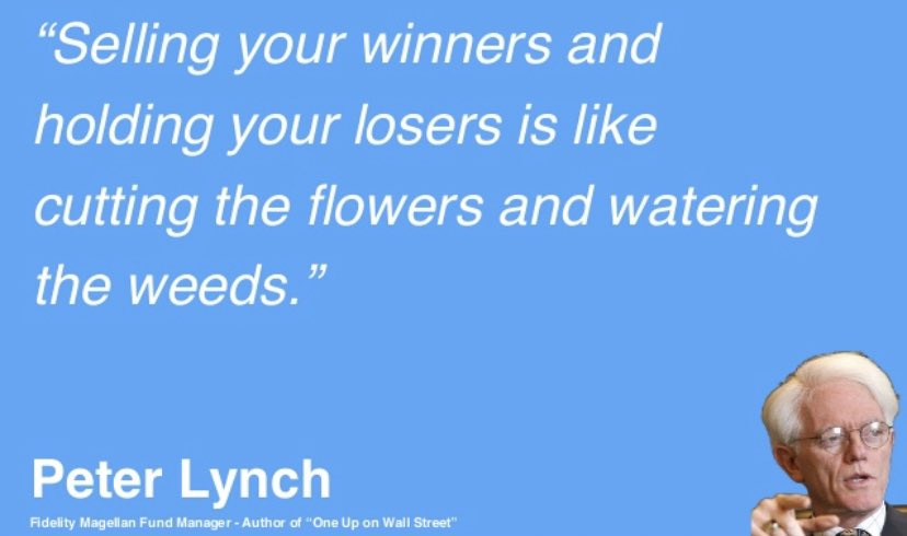 Citação de Peter Lynch: "Vender as ganhadoras e segurar as perdedoras é como cortar as flores e regar as ervas daninhas." – Peter Lynch.