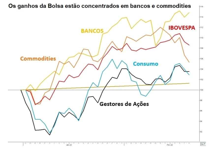 Gráfico mostra que os ganhos da Bolsa estão concentrados em bancos e commodities.